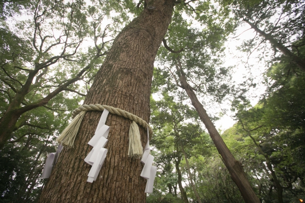 おふたりが過ごした町 神社での結婚式
