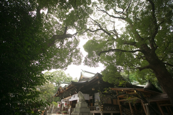 おふたりが過ごした町 神社での結婚式