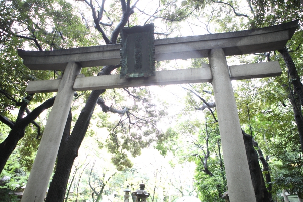 家族だけで結婚式