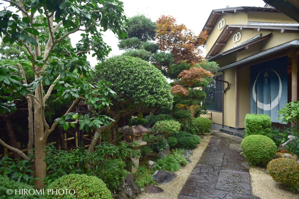 家族集合！温泉旅館で祝言