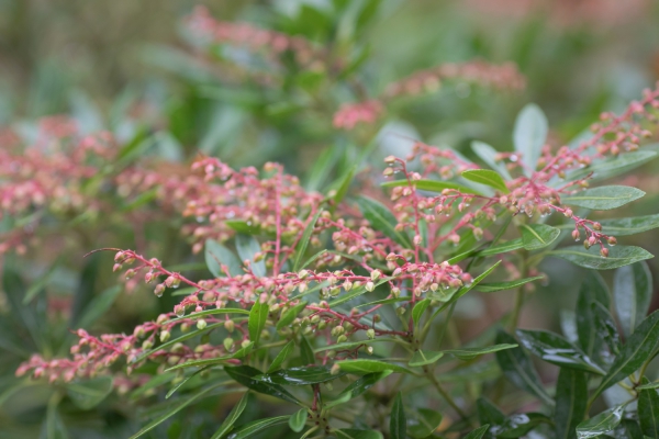 家族旅行！鎌倉でお泊り＆祝言